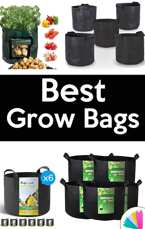 gro bags|best grow bags for vegetables.